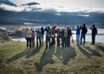 Columbia Valley wetlands near Wilmer