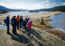 Birders in the Columbia Wetlands