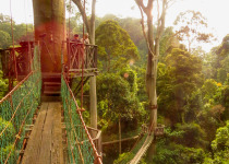 Canopy walk, Danum Valley