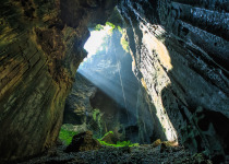 Gomantong cave is situated in the district of Kinabatangan. It is the largest cave and the main producer of edible bird's nest in Sabah.