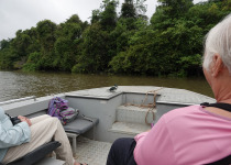 Amazon Kingfisher catching a ride on the boat