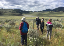Okanagan birding