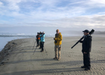 bird watching, Long Beach