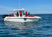 Boston Whaler, pelagic boat