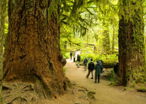 British Columbia Coast & Pelagic
