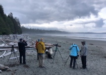 bird watching Long Beach