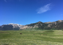 Waterton landscape