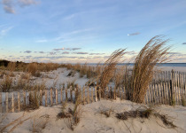 Sand dunes at Cape May, NJ.
