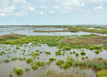 Forsyth National Wildlife Refuge