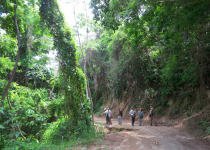 Birding in Santa Marta