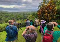 Arenal birding © Steve Ogle