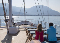 MS Panorama enjoying view