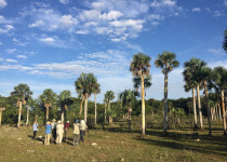 Birding near Soplilar