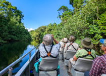 Daintree River cruise