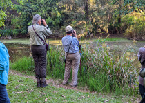 Looking for Platypus