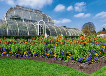 Palm House, Kew Garden