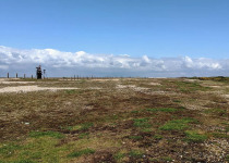Dungeness Nature Reserve