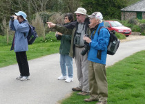 Caerhays Castle Gardens