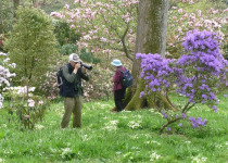 Caerhays Castle Gardens