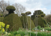 Great Dixter topiary