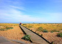 Dungeness Nature Reserve