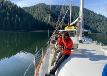 Looking for wildlife