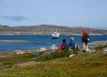 Hebron Labrador