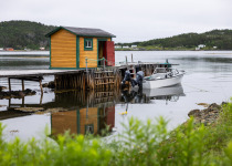 Gulf of St Lawrence Cruise