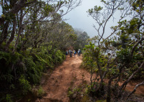Pihea trail, Kauai
