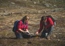 Botanists in the Arctic