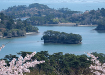 Scenery of Matsushima in spring