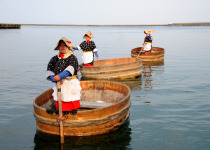Taraibune Tub Boats