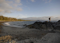 exploring shore © Randy Burke