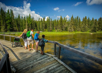 Prince Albert National Park Birding Tour from Saskatoon, Regina or Prince Albert – Best Forest birds in 2026