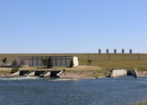 Gardiner Dam – Anerley Lakes Birding Tour – 6 great hours with fascinating woodland and water birds