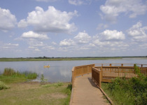 Pike Lake Birding Tour – 2 great options