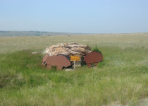 Prairie Grasslands Birding Tour