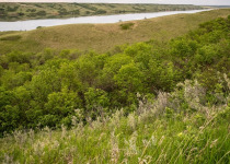 Buffalo Pound Park 2026 – Great Birding Day Tour from Moose Jaw, Regina, Swift Current or Saskatoon