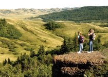 Cypress Hills Tours from Saskatoon and Maple Creek: 3 options for birding Saskatchewan’s great southwest