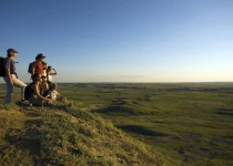 Grasslands National Park Birding Tour from Saskatoon, Regina, Moose Jaw or Swift Current – Best Prairie Birds 2026