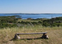 Redberry Lake Bird Sanctuary Tour – 8 hours with fascinating woodland and water birds