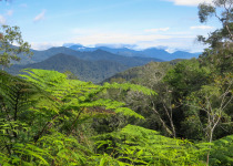 Bukit Fraser from Pine Trail-Paul_Prior
