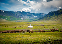 Mongolia landscape