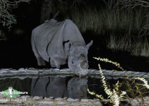 Namibia, Botswana and Victoria Falls birding