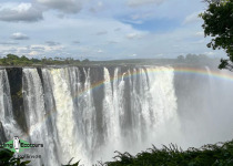 Namibia, Botswana and Victoria Falls birding