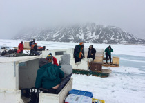 travelling by komatik on sea ice