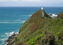 Nugget Point, New Zealand