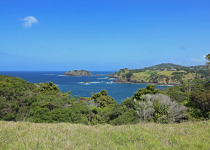 Tutukaka Head shore, New Zealand