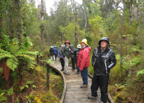 Boardwalk at Ship Creek New Zealand