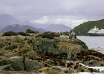 Fiordland, Anchor Island